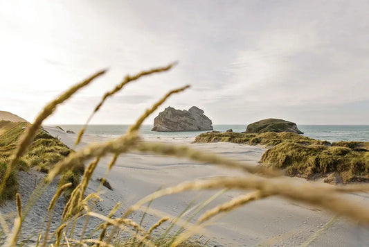 Why are New Zealand herbals so unique?