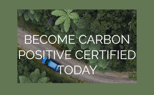 Introducing: Carbon Positive