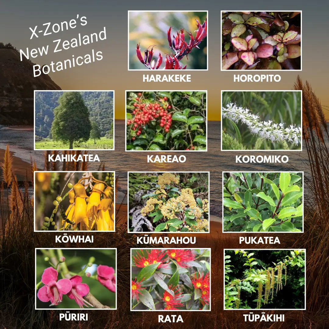 X-ZONE - Championing New Zealand’s healing botanicals