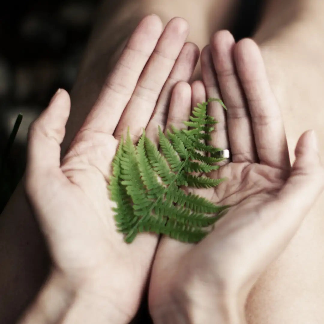 A delicate, vibrant green fern leaf cradled gently in cupped hands.
