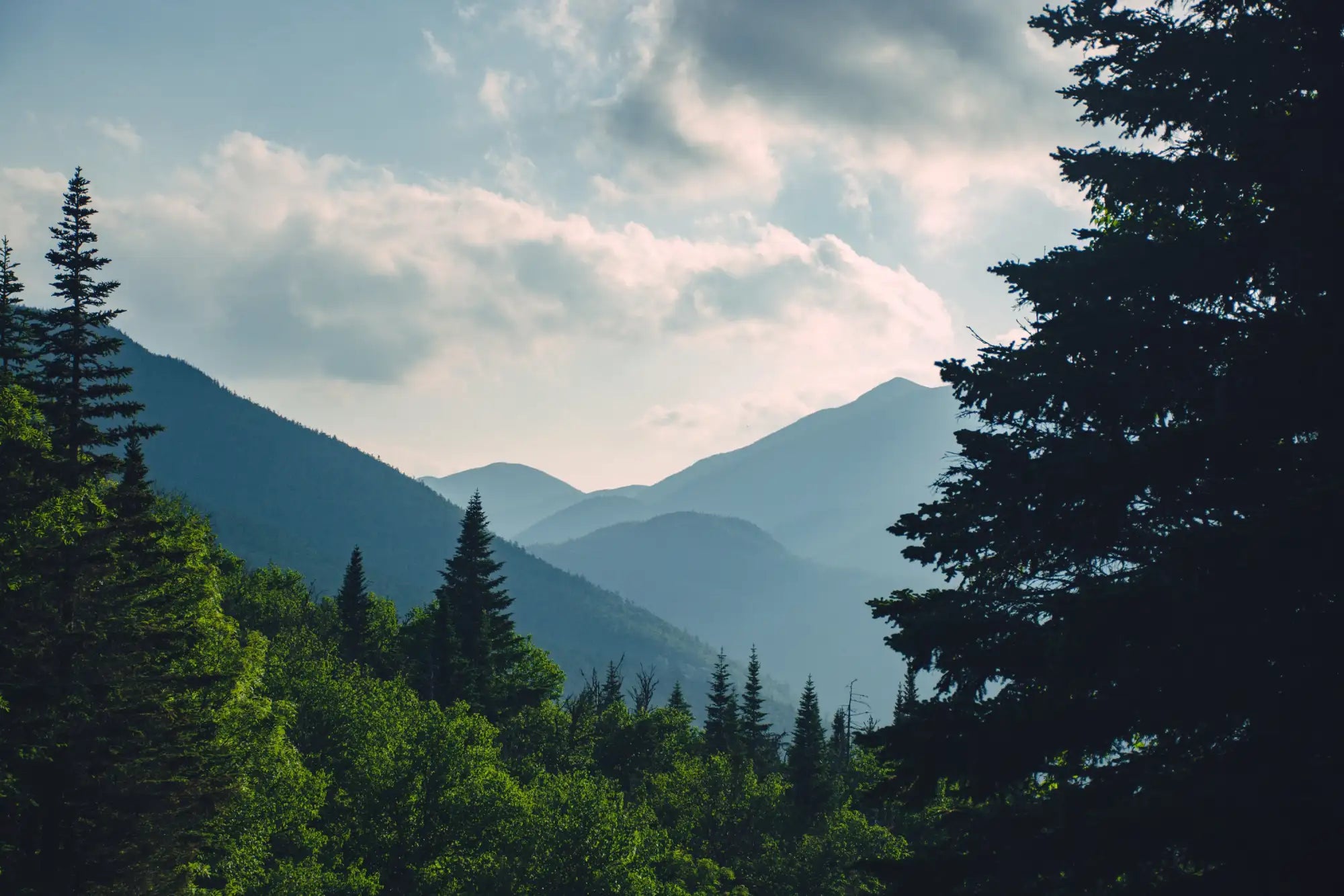 Layered mountain ranges with deep green pine forests and soft, cloudy skies.