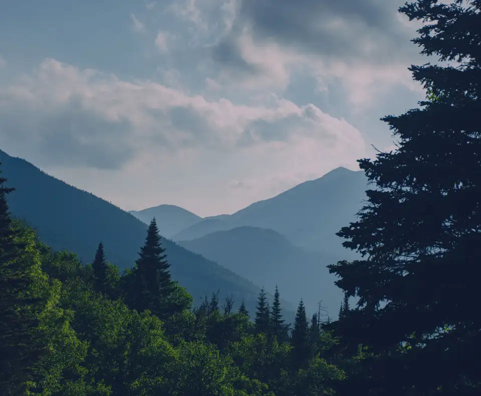 Layered mountain ranges rise into a soft, cloudy sky, framed by dense evergreen trees in the foreground.