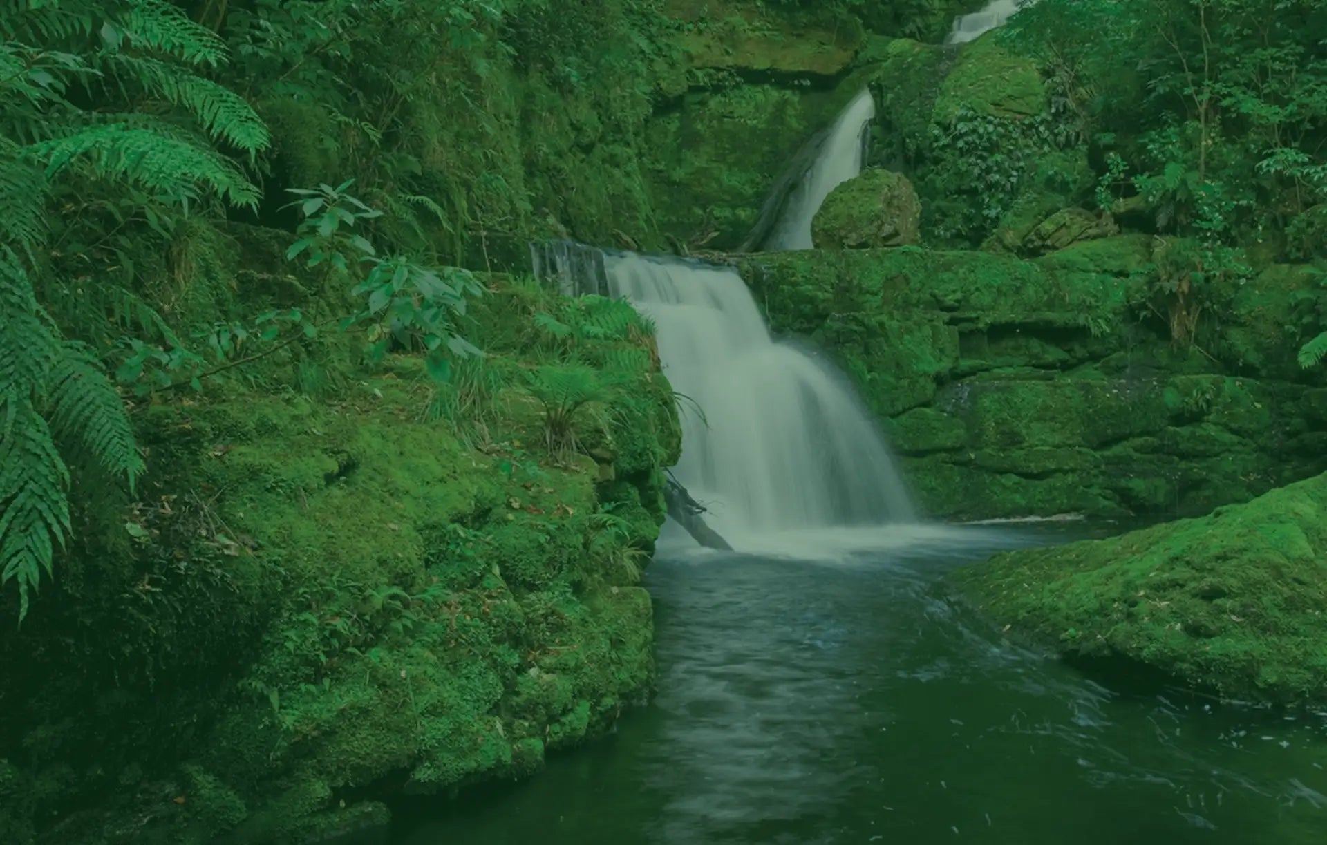 A cascading waterfall flows over moss-covered rocks in a lush, verdant forest setting.