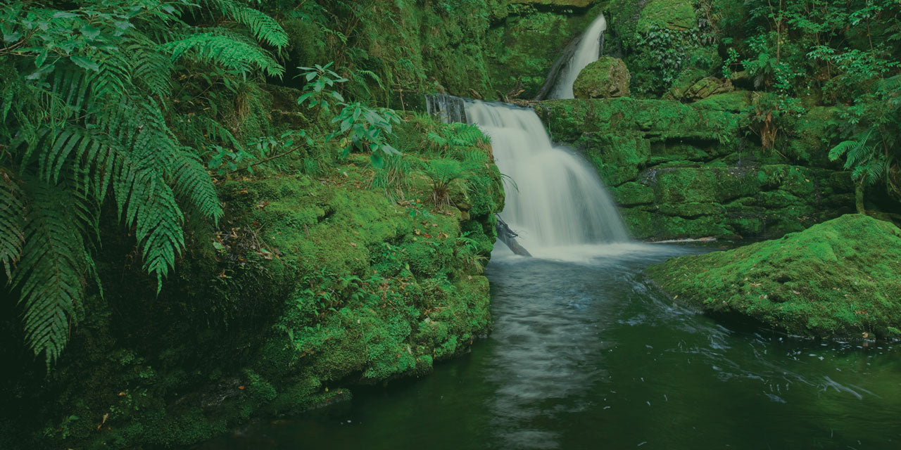 Waterfall New Zealand Green Forest Stream Ferns